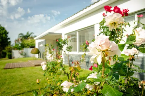 Espacio del local The English Rose